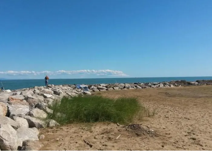 Lejlighed Calm Perfect For Up To 4 Guests