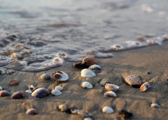 Calm Perfect For Up To 4 Guests Apartment Bibione